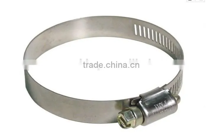 Mini Hose Clamp