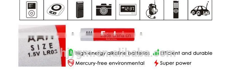 Hot Sale FOSKA AAA Battery