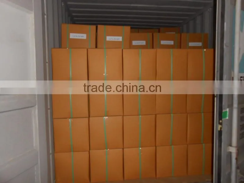 Dry Fruit powder Export to US : Vacuum Freeze Dried Red Dragon fruit powder from Thailand