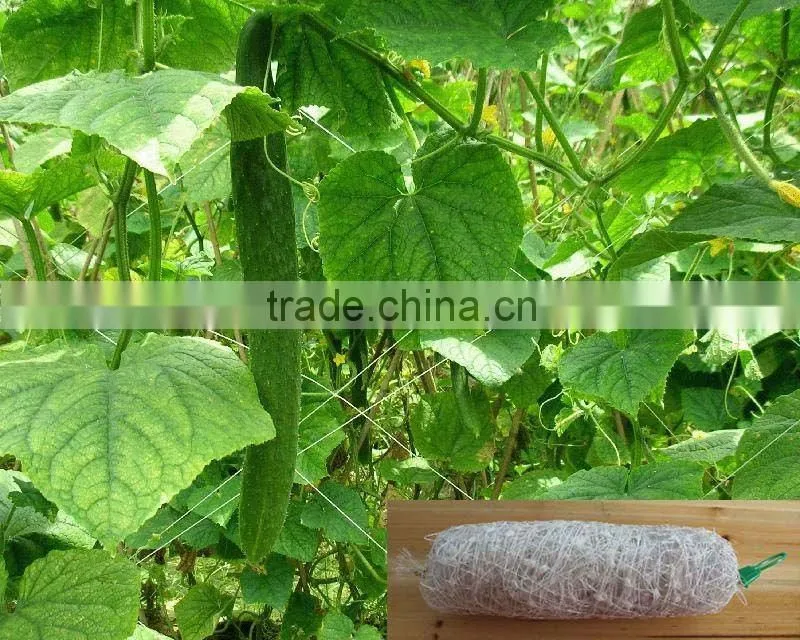 Flexible plastic net for agriculture cucumber netting