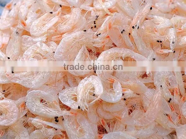 wholesale dried fresh water baby shrimp seafood
