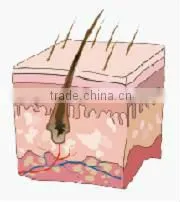 powerful ipl skin care ance removal facial machines skin care