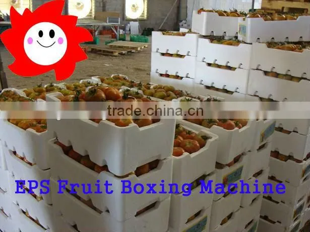 PSZ-1220 Automatic EPS Foam Box Machine with Best Price