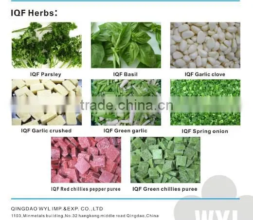 high quality frozen mushed ginger best price