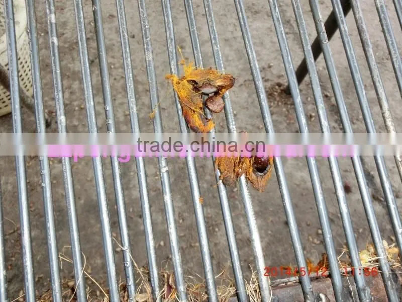 Long using life hot sell refining palm oil machine