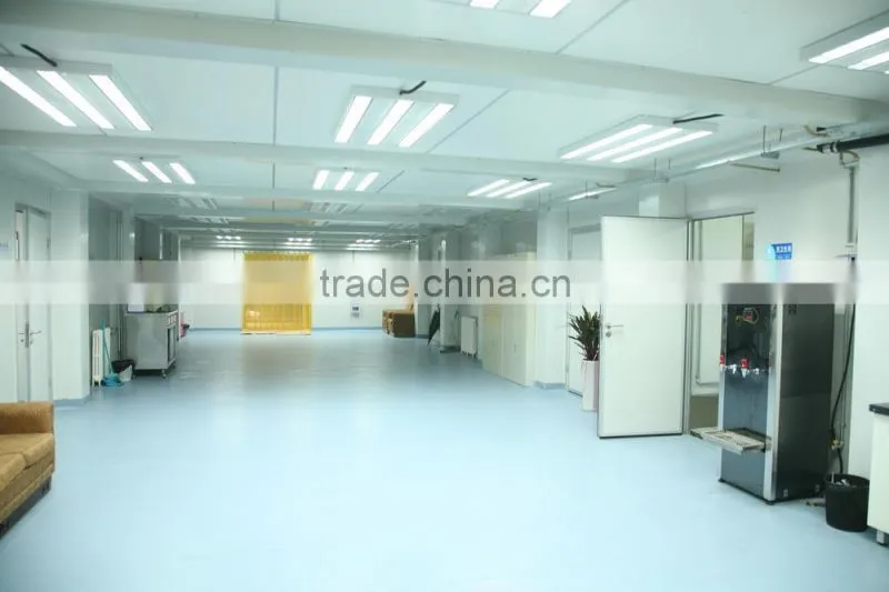 two storey Luxury container office building