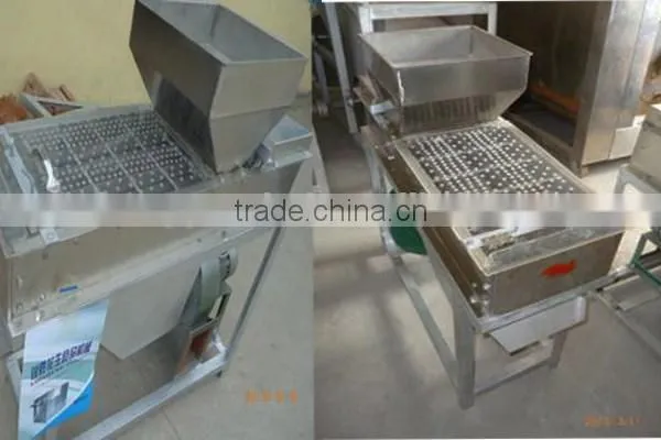 CG200 200kg/h Commercial roasted peanut peeling machine