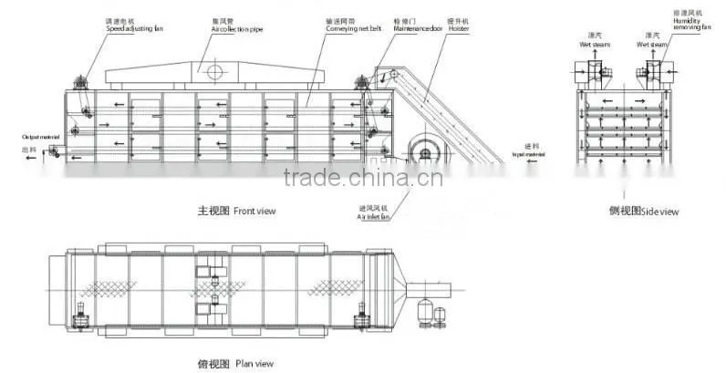 Continuous Hot Air Spinach Drying Machine Belt Dryer