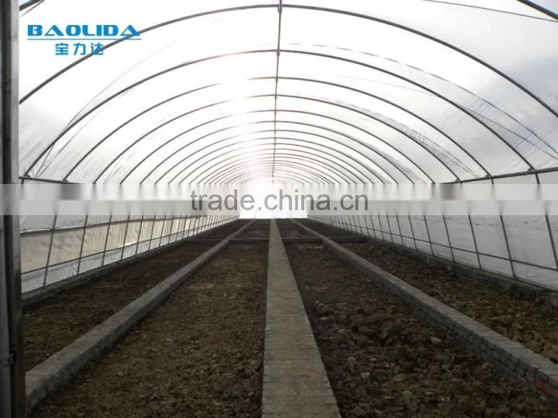 cheap vegetables tunnel greenhouse baolida tunnel green house