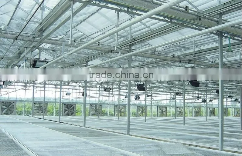Sunshine ecological glass greenhouse
