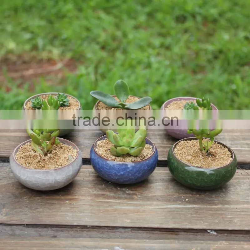 Garden cracked ice succulent plants porcelain flower pot