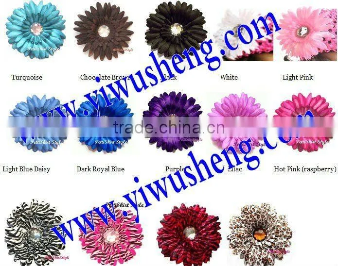 Zebra Daisy flower two toned zebra daisies