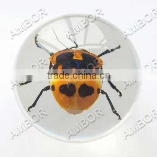 Hot selling small crystal ball with real ember embedded for promotional gift
