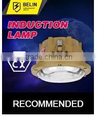 SBD1109 Induction Lamp IP66 WF1
