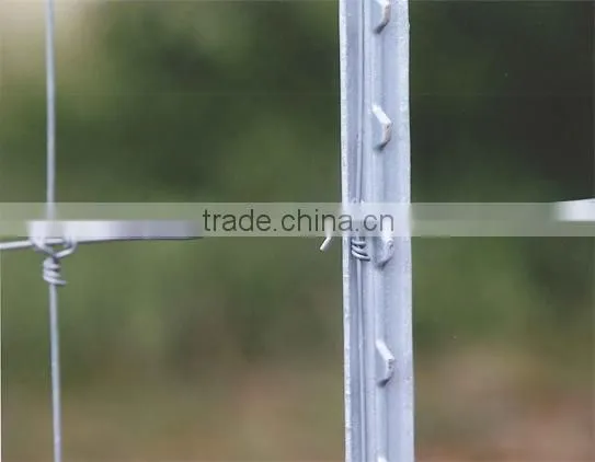 steel studded hot dipped galvanized heavy duty 1.33lb/f Euro style y fence post