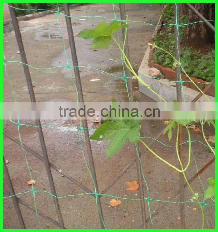 Low Price New Hdpe Material Climbing Plants Supporting Network For Sale