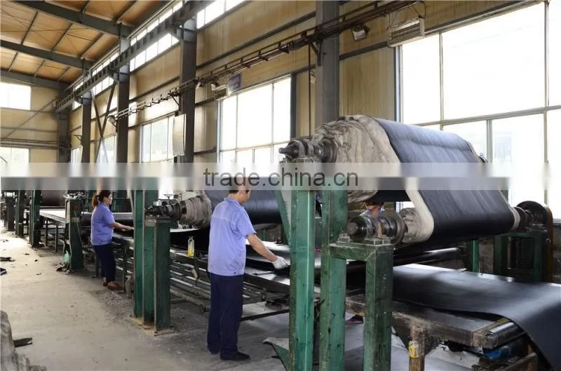 Transmission Rubber Ep Nn Polyester PVC Conveyor Belts