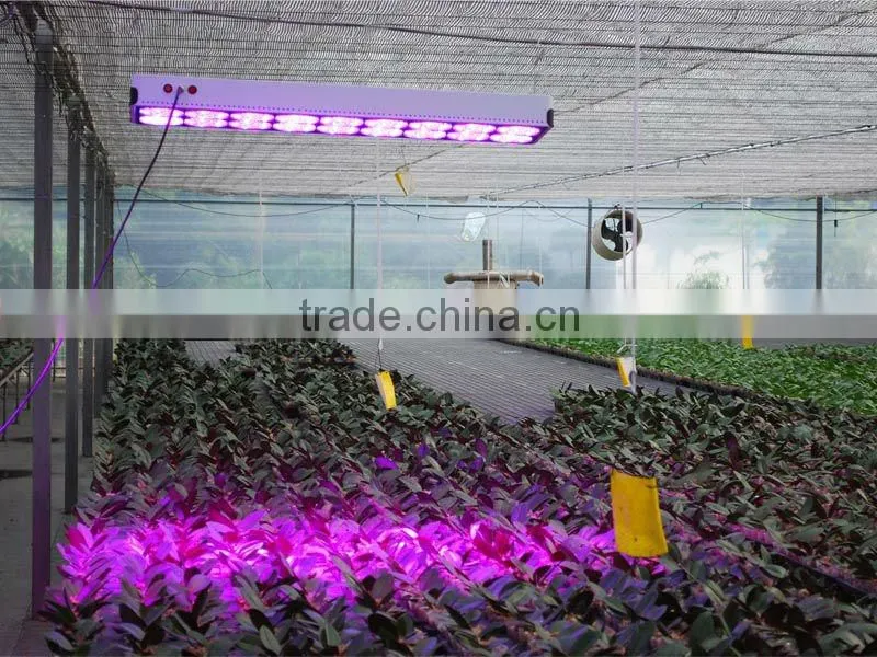 EN-Apollo 10-Led grow lights