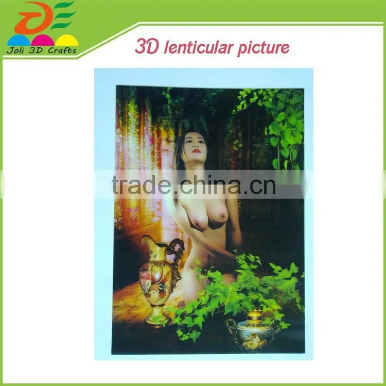 home wall decoration PP lenticular 3d picture manufacturer