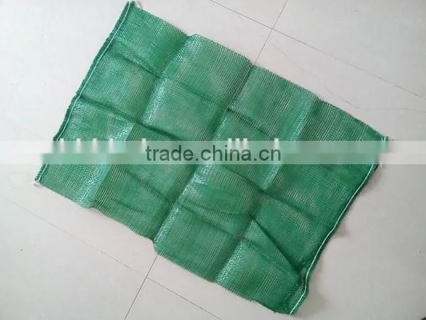 Green Mesh Bag