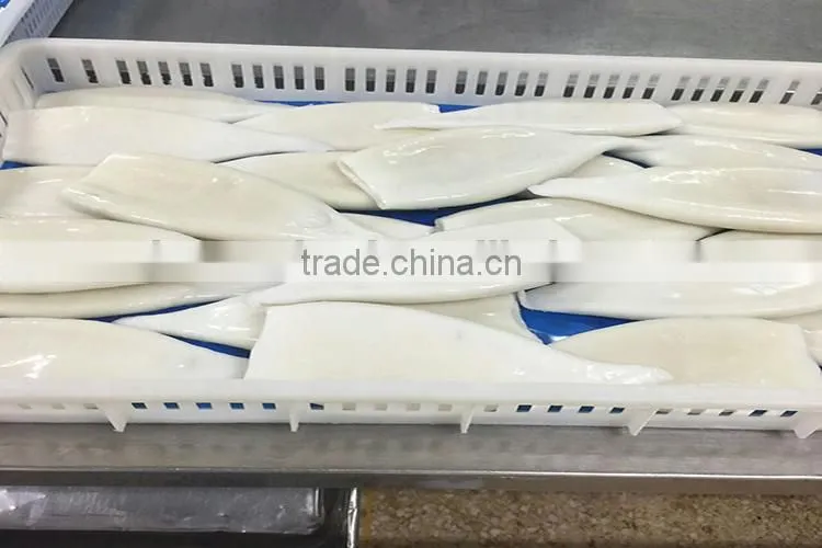 Frozen seafood squid tube