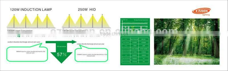 2015 40w jiangsu professional lighting lvd induction lamp wall light