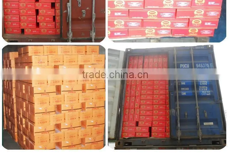 Best tomato Paste price with Tin Packing concentrate 2200gX6tins