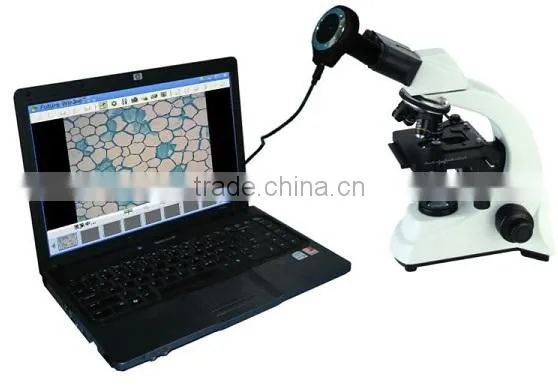 1.3MP Cost-effective DBMEM1300-5B digital biological microscope equipped with 1.3MP digital camera