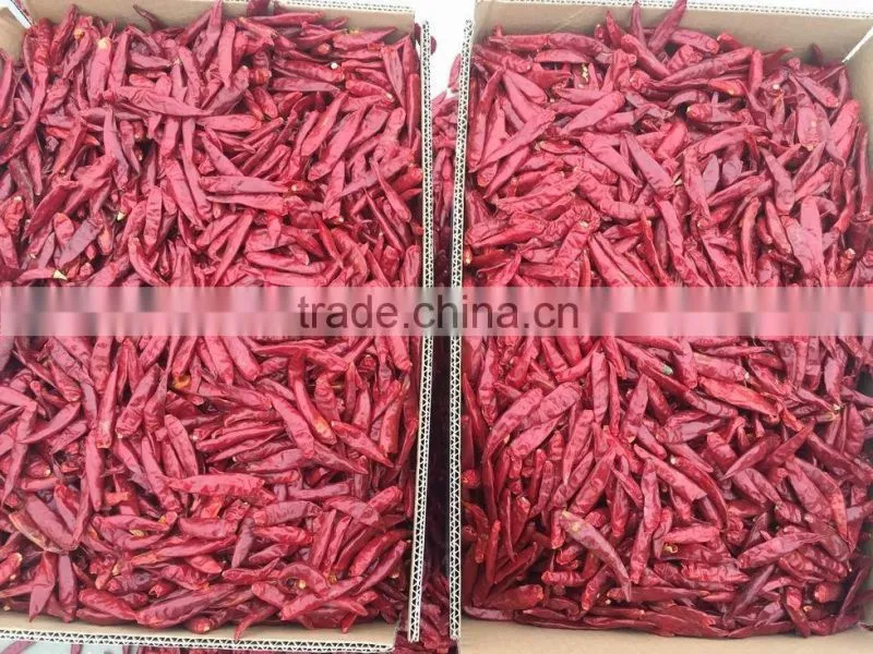 dried chilli