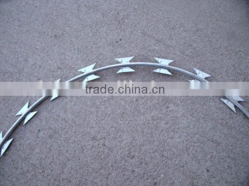 cheat price galvanized razor barbed wire in China