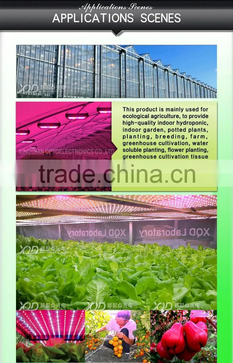 branches of agriculture powerful led grow lights 3w chip 300w red Ir uv led the lamp