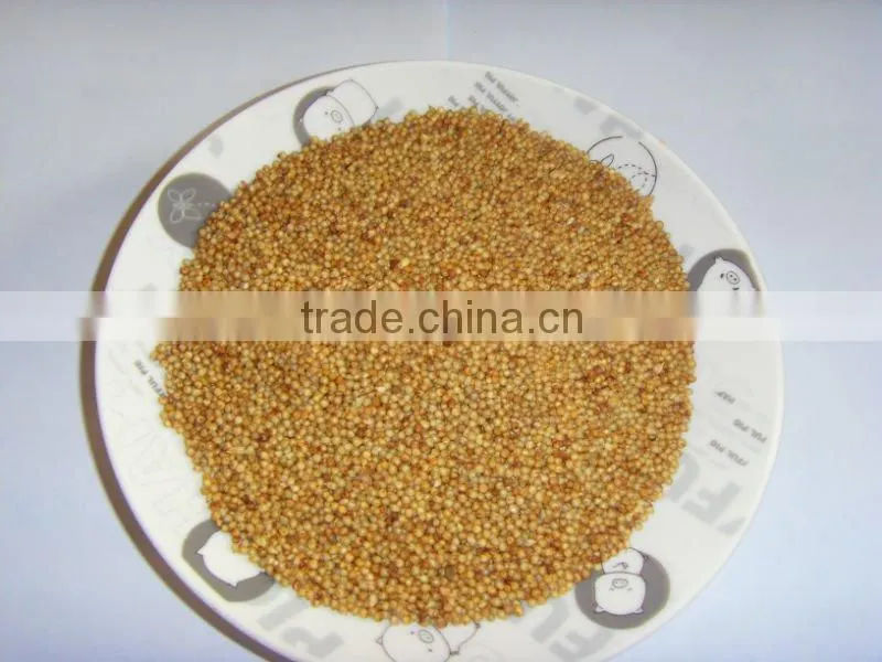 Hybrid Chinese Pennisetum Forage Seeds