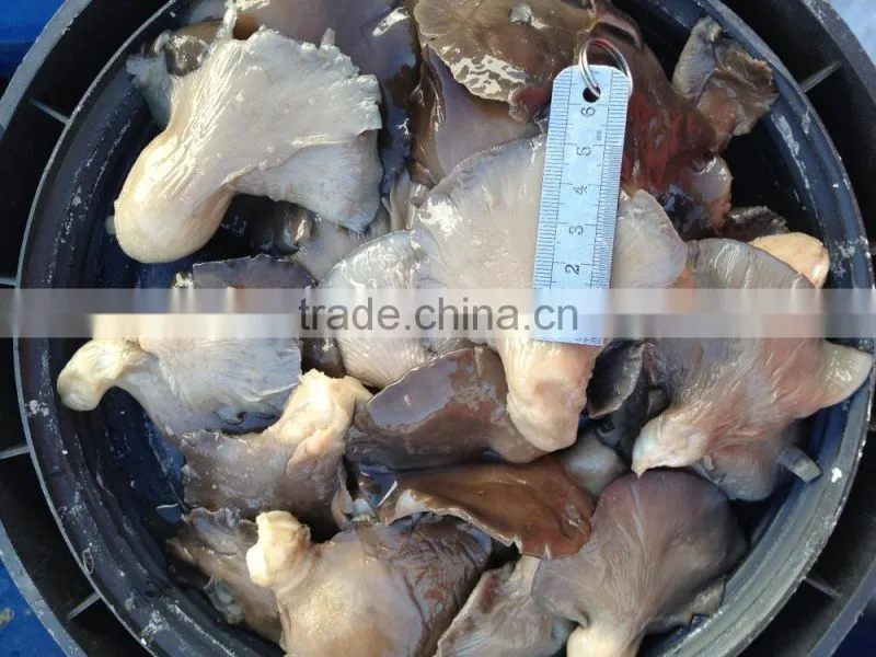 Pleurotus in brine