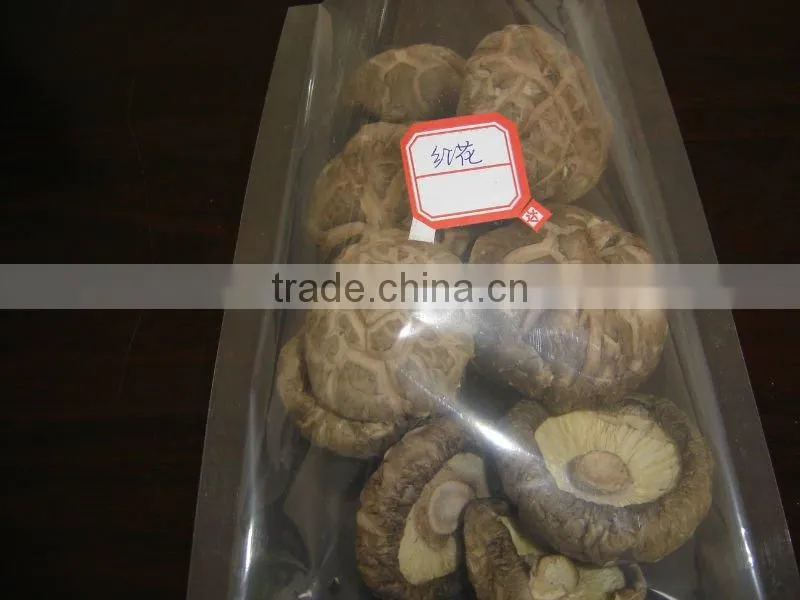 The Best Dried Flower Mushroom