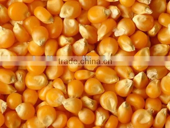 New design home use corn thresher//008613676951397