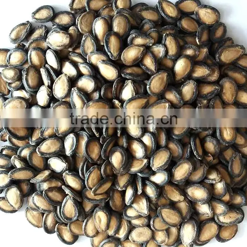wholesale red melon seeds with big size natural color