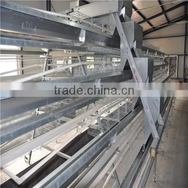 galvanized wire chicken cages for chicken coop