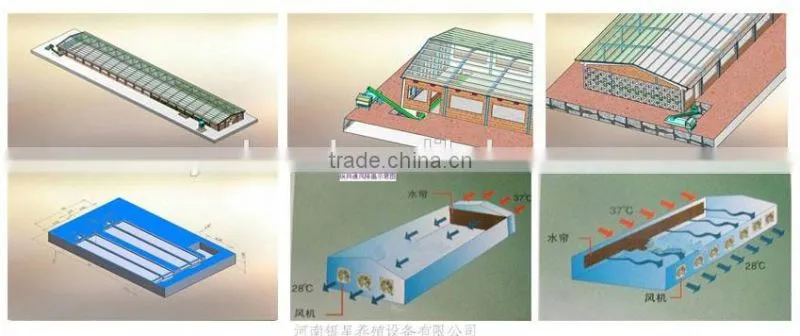 Baby chicken Hen House Cage for Nigeria growing layers