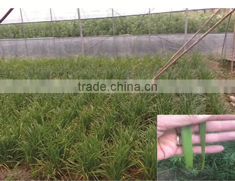 Mo Fulvic acid fertilizer