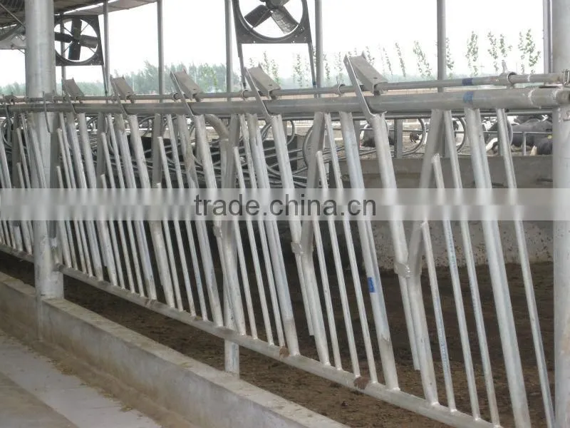 cow headlock feeder