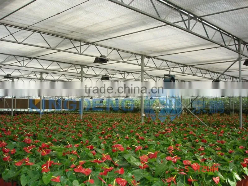 Venlo type multi span glass greenhouse for agriculture