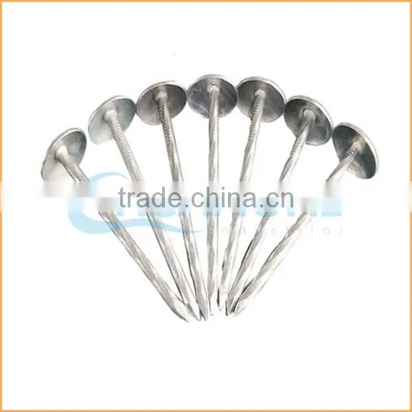 Top quality flat top yellow coated ring/smooth coil roofing nails trusted Chuanghe suppliers from alibaba com