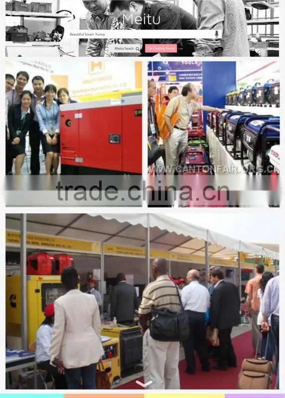 0.65kw portable gasoline generator,1 cylinder gasoline engine