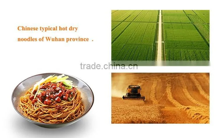 Famous branded dietary alkali yellow noodles wtih local specialty