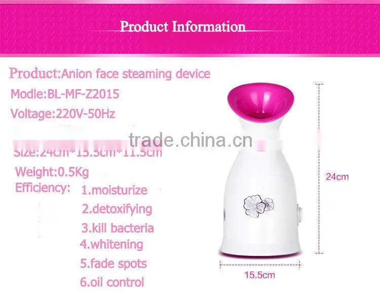 Ozone Facial Steamer