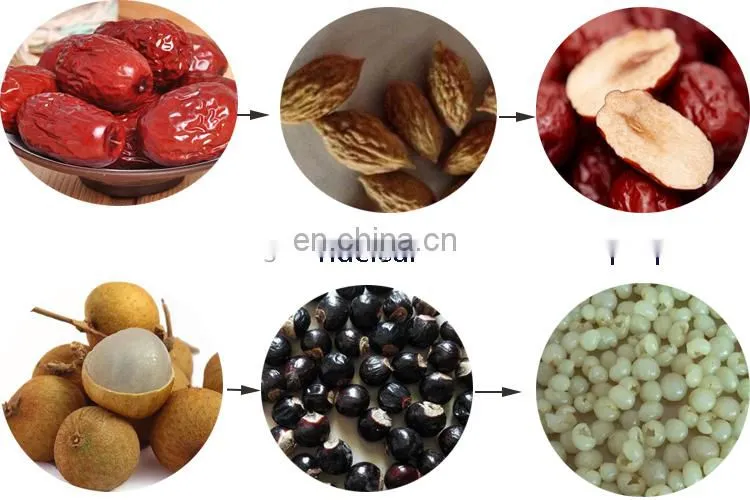 Date longan seed removing equipment Red jujube nuclear pitting machine.
