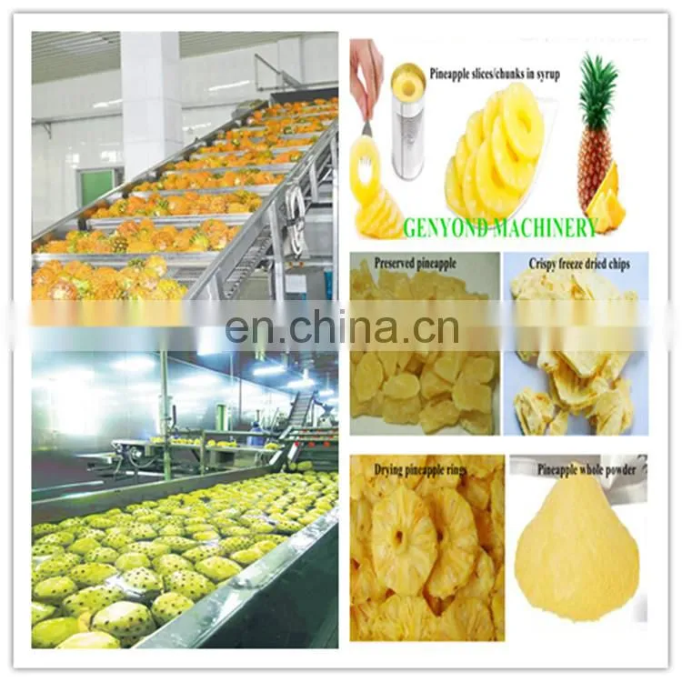 High efficiency canned pineapple processing plant / pineapple in syrup processing line