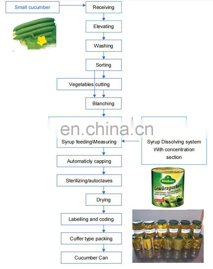 Factory Genyond Professional carrot cucumber pickles pickled onion canning equipment machine production line processing plant