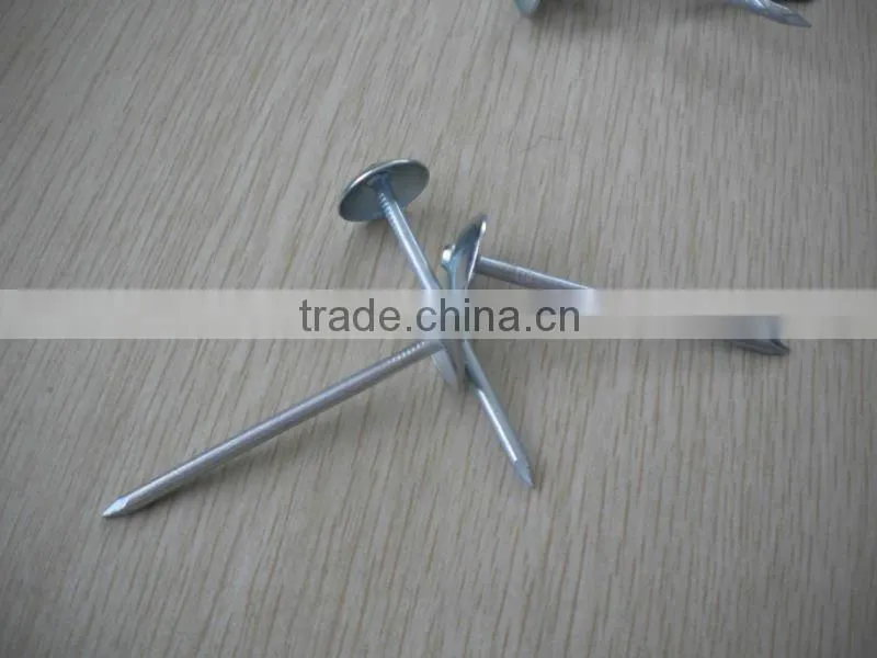 twisted umbrella head roofing nail factory