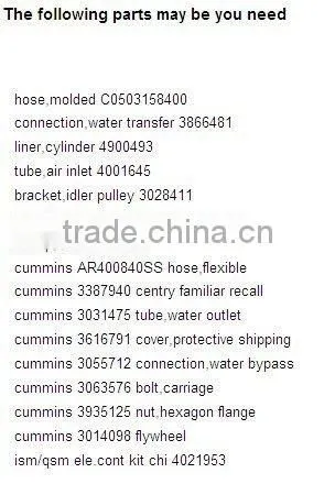 Cummins High Quality Insert Valves 3940152
